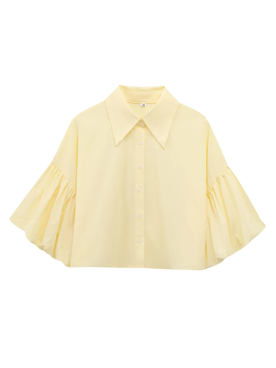 Cute Lantern Sleeve Crop Blouse