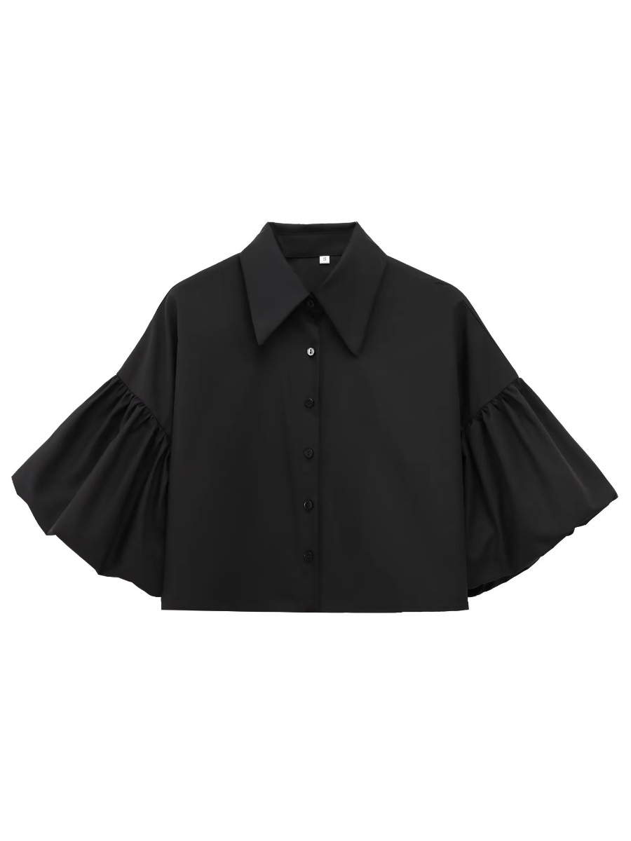 Cute Lantern Sleeve Crop Blouse