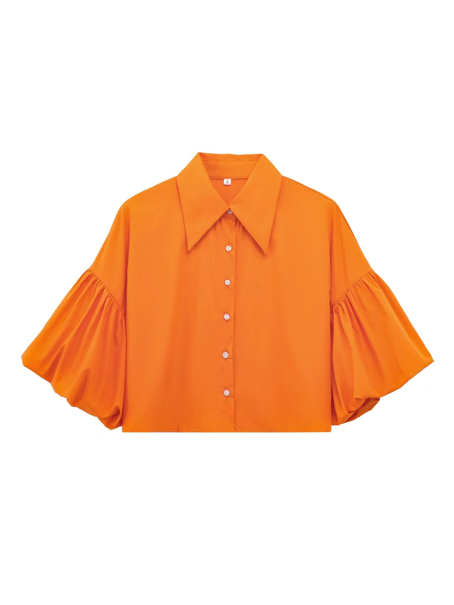 Cute Lantern Sleeve Crop Blouse