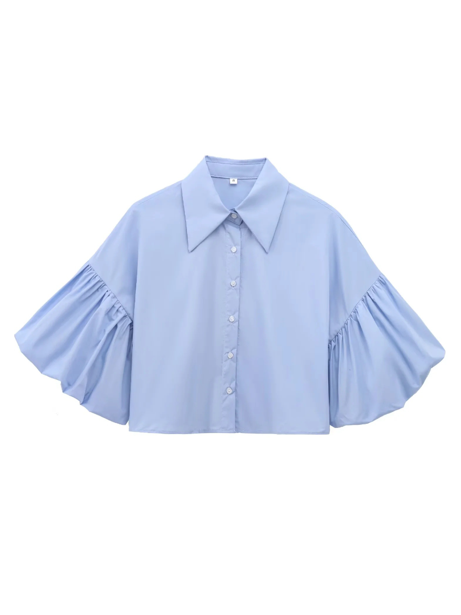Cute Lantern Sleeve Crop Blouse