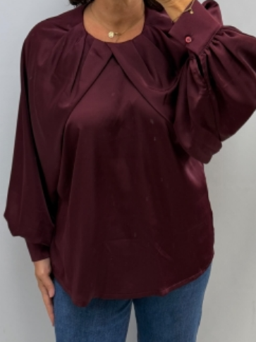 Classy Dazzle Blouse