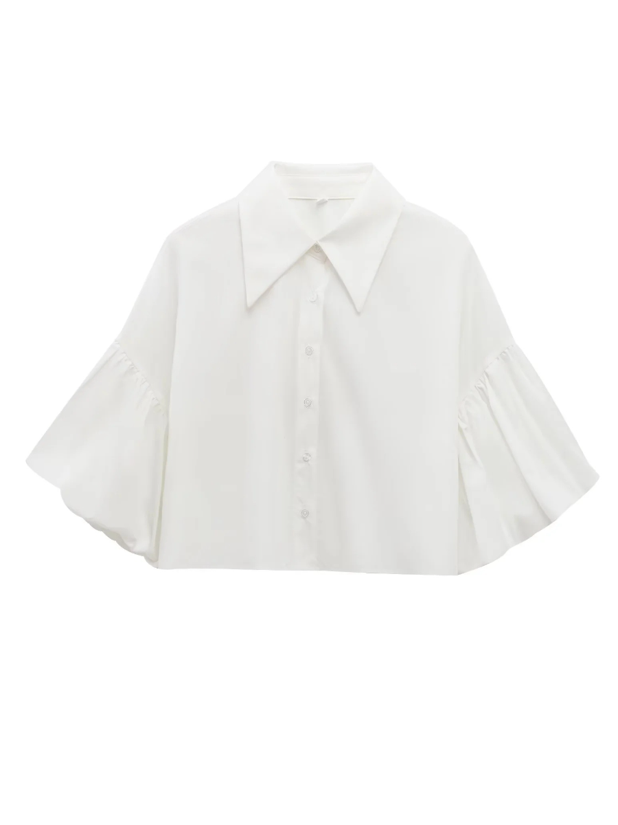 Cute Lantern Sleeve Crop Blouse
