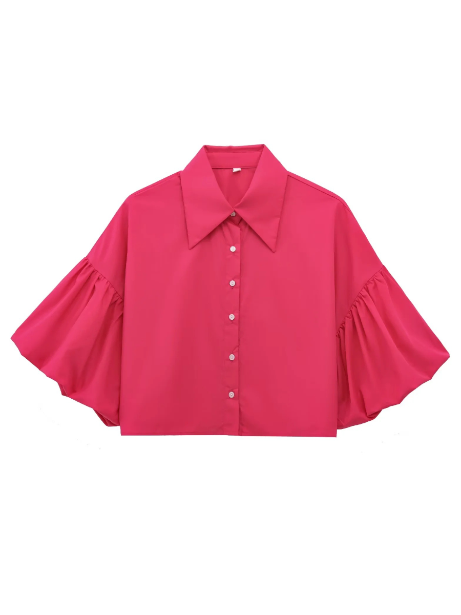 Cute Lantern Sleeve Crop Blouse