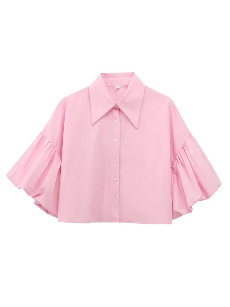 Cute Lantern Sleeve Crop Blouse