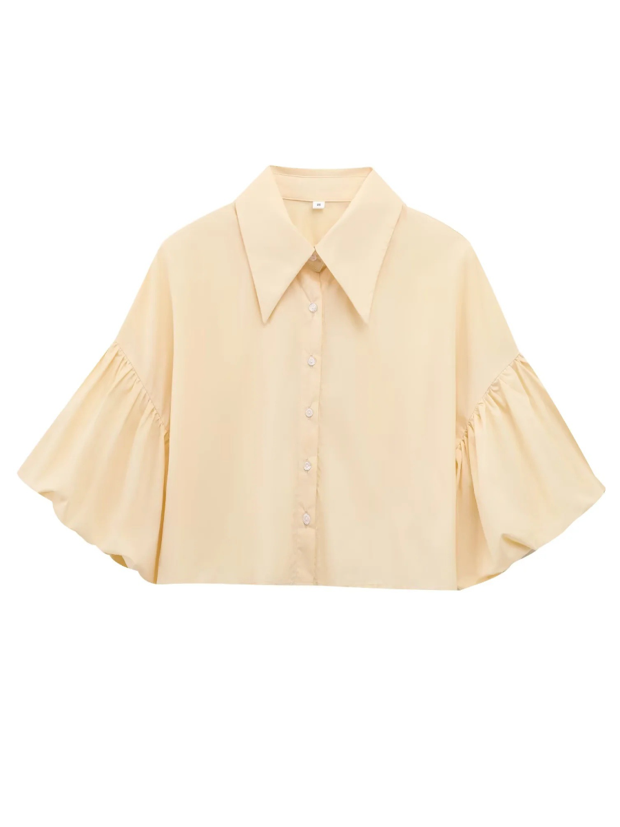 Cute Lantern Sleeve Crop Blouse