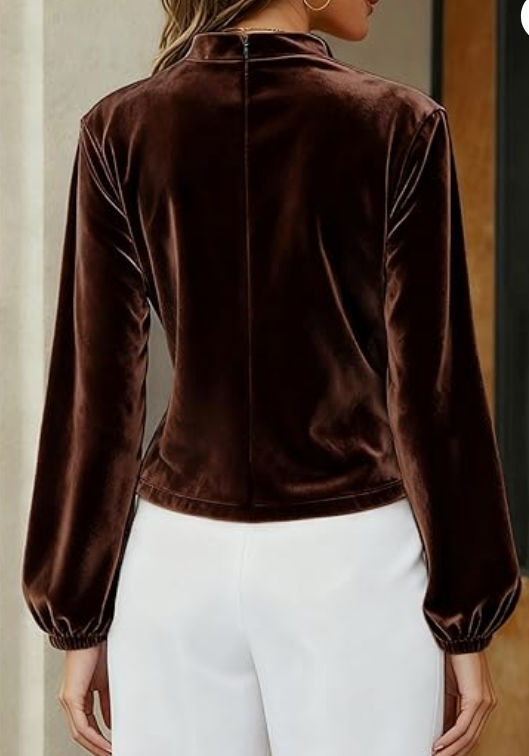 Chic Stretch Velvet Blouse