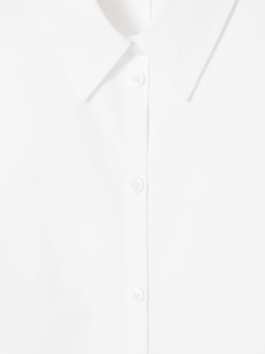 Regular Curvedhem Shirt